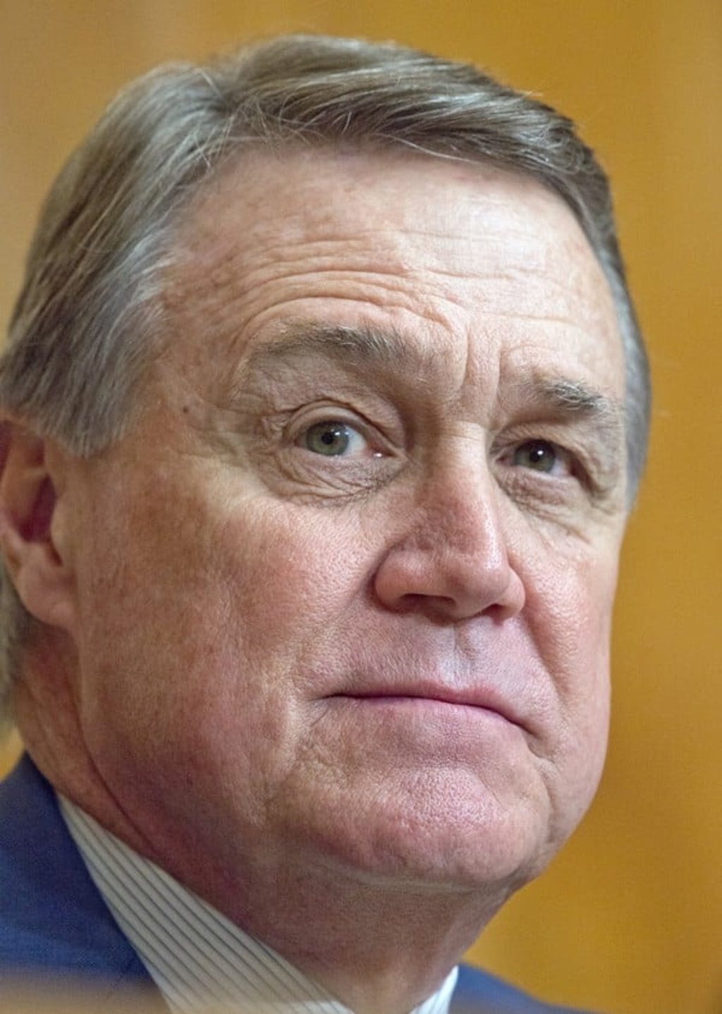 David Perdue reiterated Washington’s commitment to the Taiwan Relations Act and expressed its appreciation for the island’s long-standing support of the US. Photo: TNS David Perdue reiterated Washington’s commitment to the Taiwan Relations Act and expressed its appreciation for the island’s long-standing support of the US. Photo: TNS