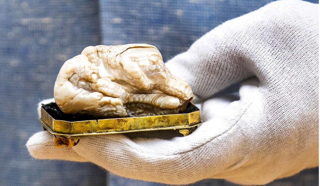 The Sleeping Lion Pearl is thought to have originated in southern Chinese waters, perhaps the Pearl River. Photo: Agence France-Presse The Sleeping Lion Pearl is thought to have originated in southern Chinese waters, perhaps the Pearl River. Photo: Agence France-Presse