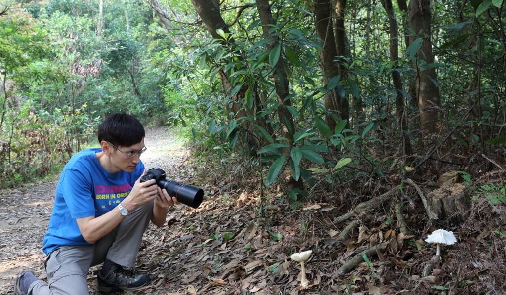 Lam takes pictures of the poisonous power-cap amanita. Photo: Handout