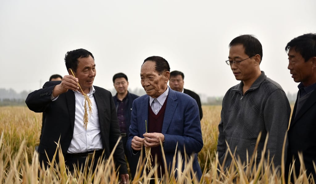 Yuan Longping, the father of hybrid rice, centre, visits a project in Chain’s Hebei province. Photo: TopPhoto/Alamy Live News Yuan Longping, the father of hybrid rice, centre, visits a project in Chain’s Hebei province. Photo: TopPhoto/Alamy Live News