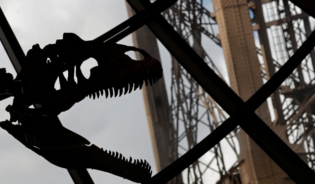 The skeletal head of a dinosaur on display at the Eiffel Tower in Paris. The skeleton, which was discovered in Wyoming in 2013, was sold at an auction on Monday for more than $US2 million. Photo: Reuters