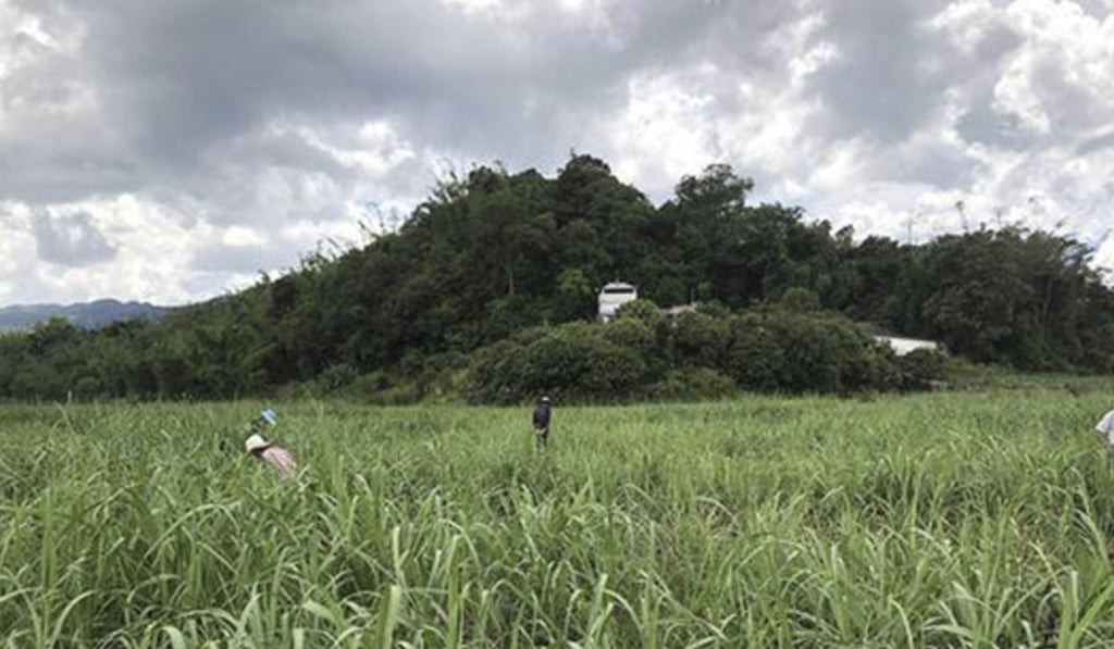 Meteor hunters scour fields in Yunnan for the precious extraterrestrial rocks. Photo: News.163.com