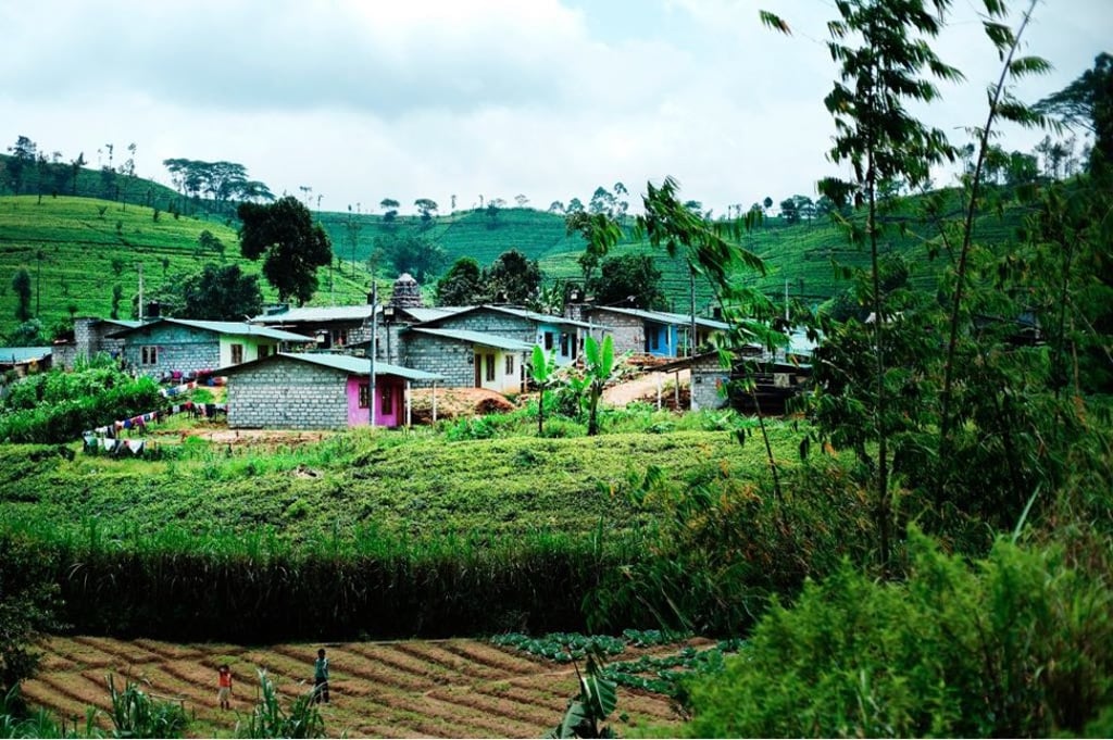 The countryside in Sri Lanka is stunning, and is interspersed with brightly painted rows of remote houses. Photo: Joshua Chong