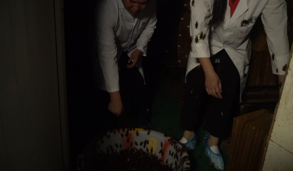 Gooddoctor workers are quickly covered in their centre’s inhabitants. Photo: Handout Gooddoctor workers are quickly covered in their centre’s inhabitants. Photo: Handout