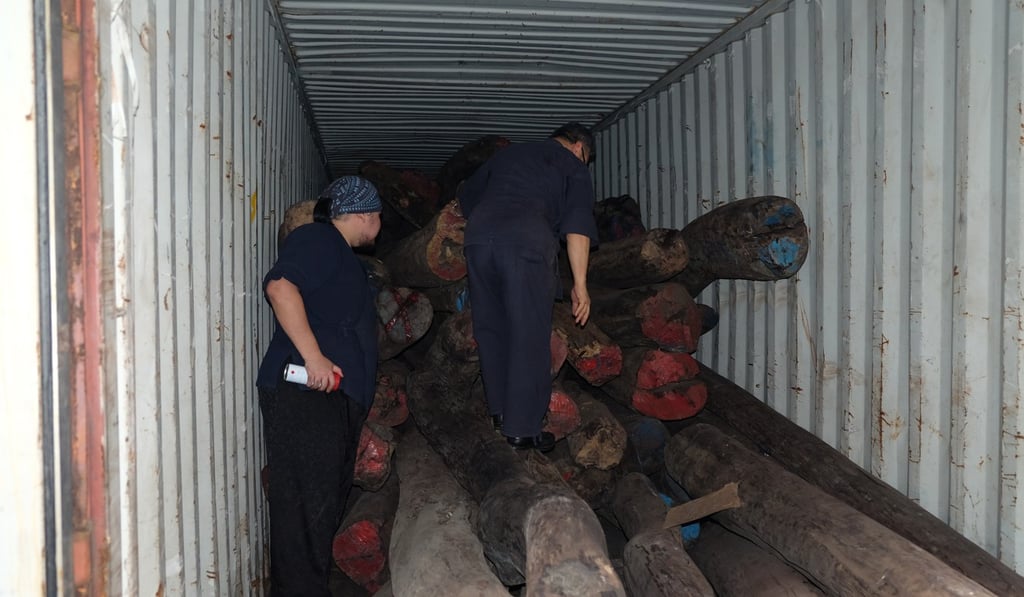 Endangered wood confiscated by Hong Kong customs officers are handed over to the Agriculture, Fisheries and Conservation Department and stored in containers Credit: Courtesy of Ho Siu-kee