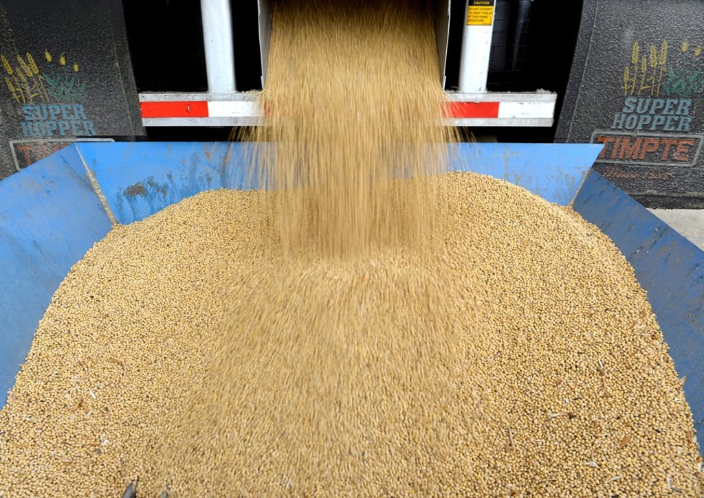 Soybean farmers have been holding their breath since China proposed putting retaliatory duties on US agricultural products. Photo: Reuters