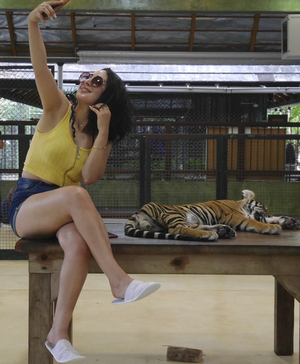 Selfie with a tiger, at Tiger Kingdom, in Phuket, in April. Picture: Red Door News Hong Kong