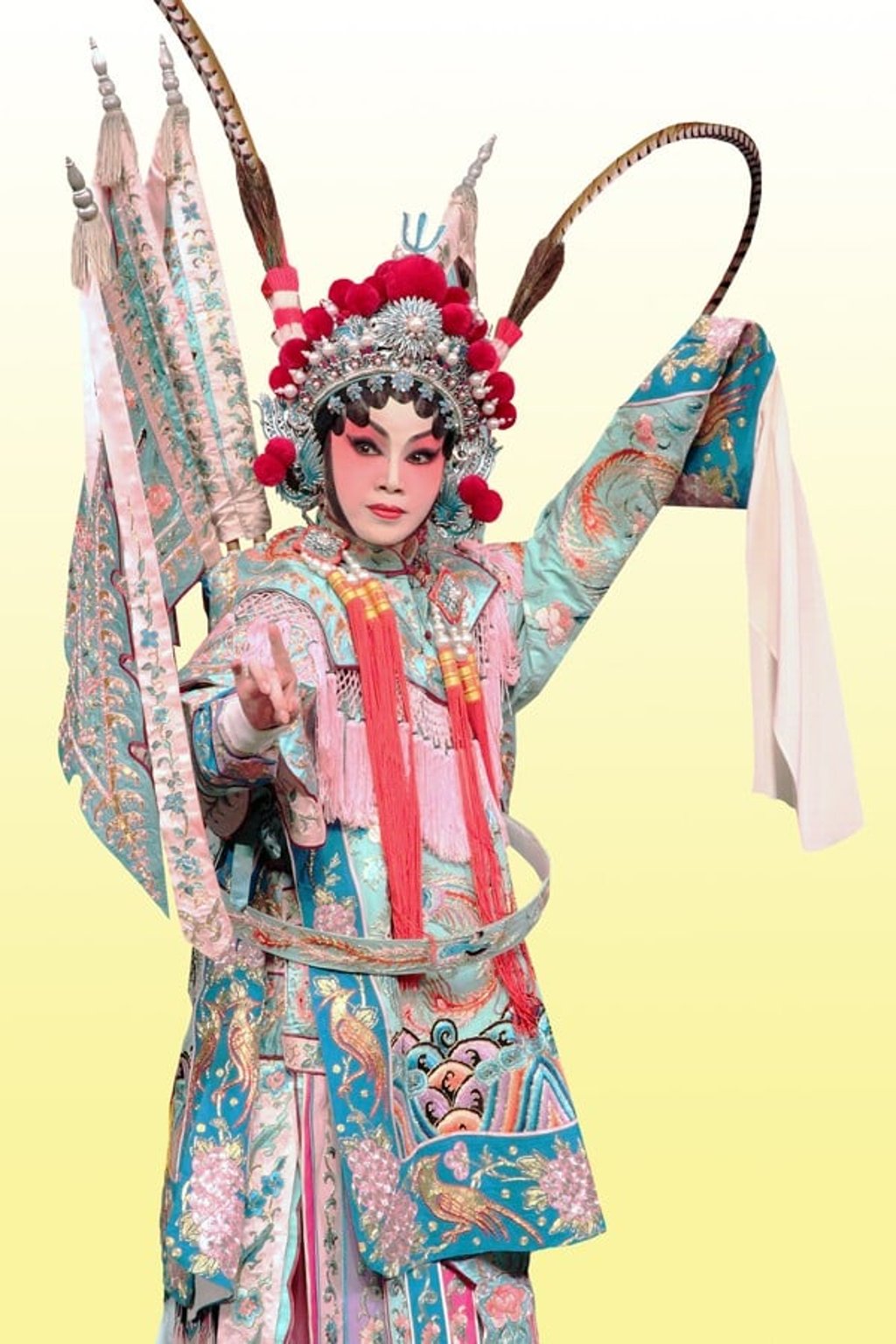 Cantonese opera master Wan Fai-yin will perform Executing the Duke’s Second Brother in Xiqin style as an exchange exercise during Hong Kong’s 2018 Chinese Opera Festival.