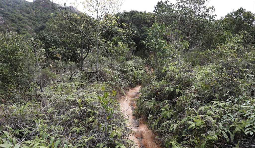 Ma On Shan country park, is one of many that’s protected against development in Hong Kong. Photo: Sam Tsang