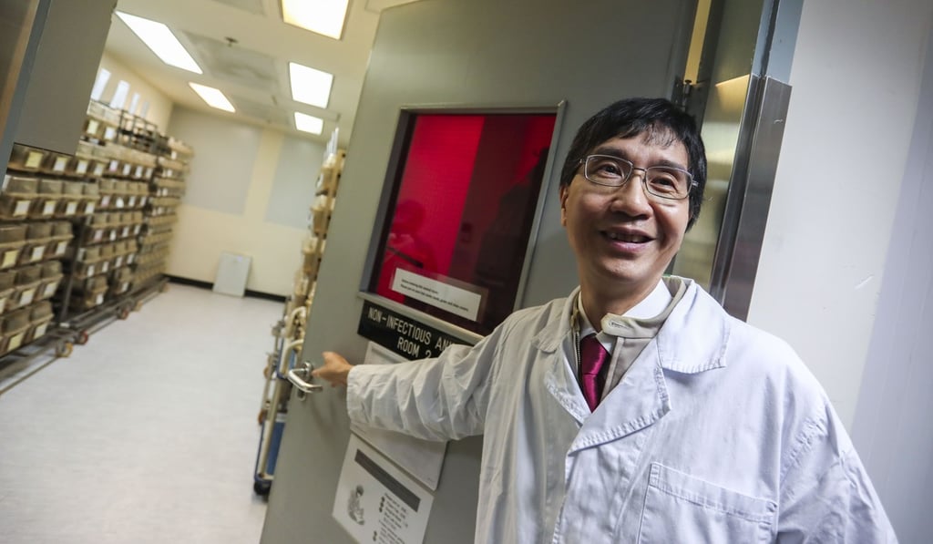 Professor Yuen Kwok-yung said the team tested whether a fusion of proteins TAT-P1 and three genes called DIG3 could help laboratory mice with swine flu strain H1N1 2009 or bird flu fight off the illness. Photo: Jonathan Wong
