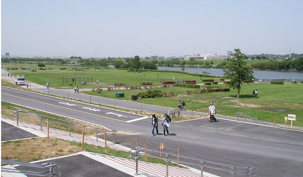 The remains of a misidentified Japanese man was found in the Edo river in Japan last year. Photo: Wikimedia Commons
