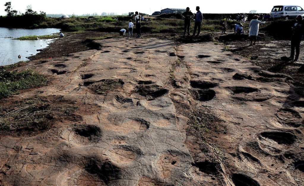 Scientists spent more than a year studying a collection of more than 300 dinosaur footprints found in eastern China’s Shandong province. Photo: News.sina.com.cn