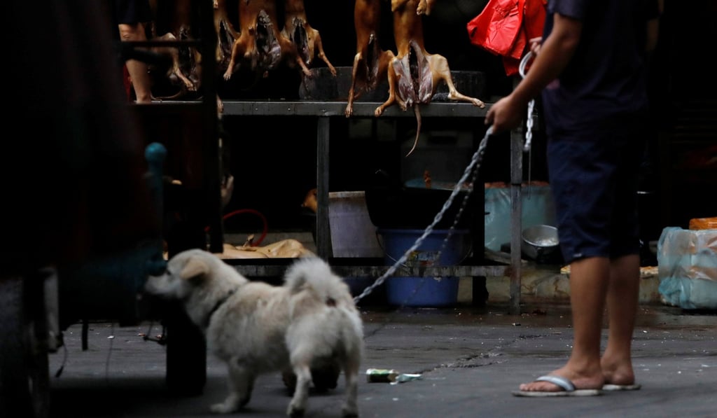A man walks his pet dog past a stall selling dog meat during the festival in Yulin, Guangxi. Photo: Reuters/Tyrone Siu