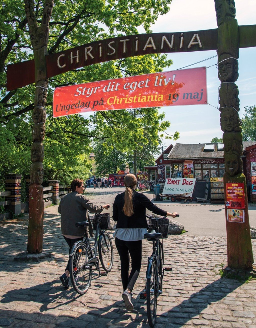 Get on your bike in Denmark, as many Danes – even legislators – do. Picture: Tim Pile