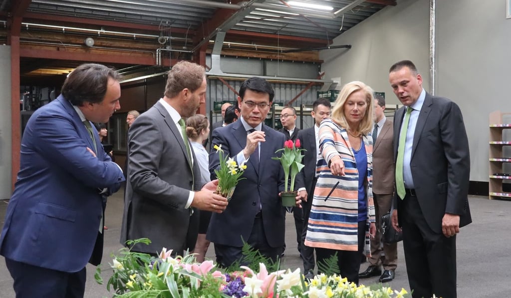 Commerce chief Edward Yau (centre) discusses plans for the garden during his visit to the Netherlands. Photo: Handout Commerce chief Edward Yau (centre) discusses plans for the garden during his visit to the Netherlands. Photo: Handout