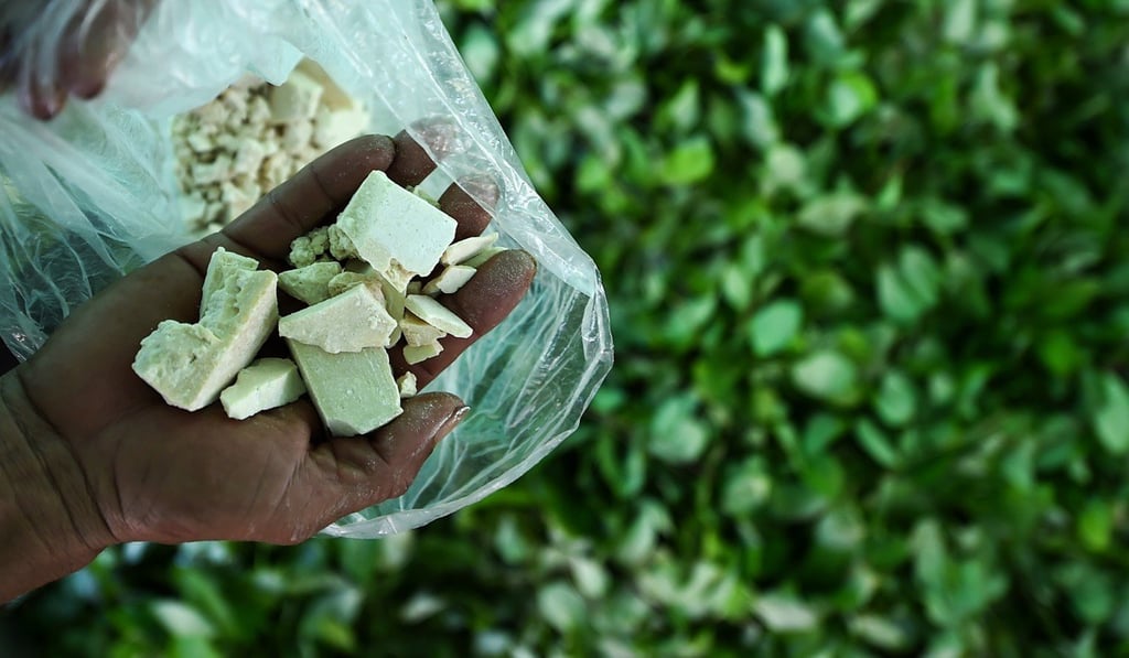 A Colombian farmer displays cocaine base paste at the end of the process to make it from coca leaves. Coca cultivation and cocaine production in Colombia reached an all-time high in 2017, the office of the US ‘drug tsar’ said on Monday. Photo: AFP A Colombian farmer displays cocaine base paste at the end of the process to make it from coca leaves. Coca cultivation and cocaine production in Colombia reached an all-time high in 2017, the office of the US ‘drug tsar’ said on Monday. Photo: AFP