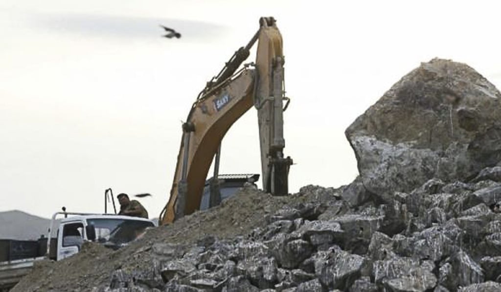 The project is on hold until the birds have finished hatching and left the area. Photo: Thepaper.cn