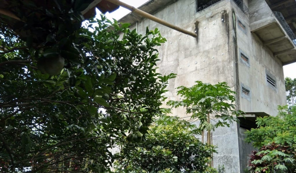 A six-storey bird house in West Java, Indonesia, is home to tens of thousands of swiftlets that produce nests that are in high demand in China. Photo: Jeff Hutton
