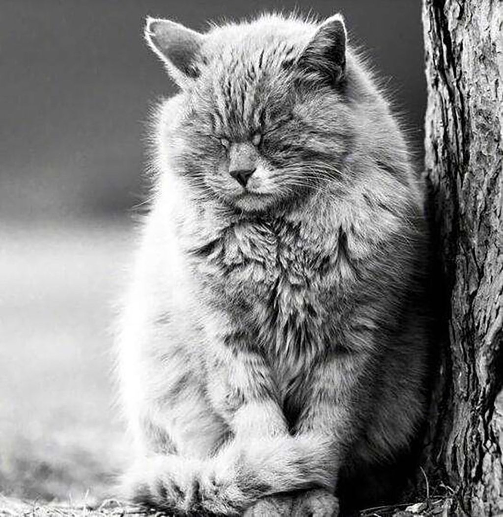 “We’re sorry, we have to let him go,” staff at the Palace Museum wrote on Weibo on Monday. Photo: Baidu “We’re sorry, we have to let him go,” staff at the Palace Museum wrote on Weibo on Monday. Photo: Baidu