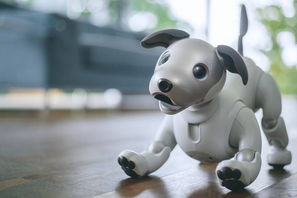 Robo-pets like Sony’s aibo are your four-legged companions in the smart home of the future.
