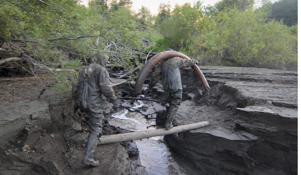 Mammoth tusk hunters carry their treasure in Russia. Photo: courtesy of Valery Plotnikov