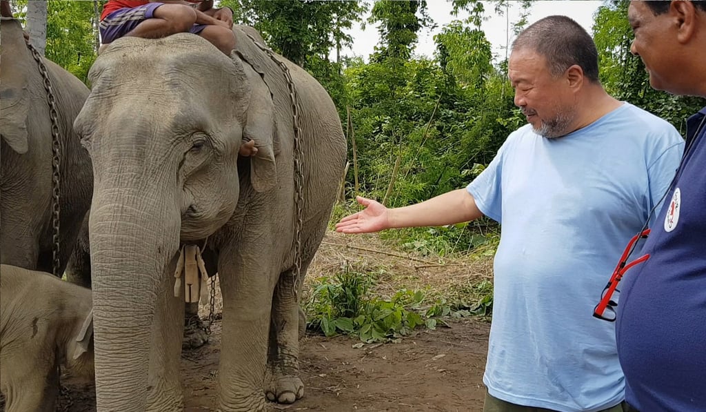 Chinese artist Ai Weiwei visits elephants in Myanmar in 2018. Photo: courtesy of Four Paws