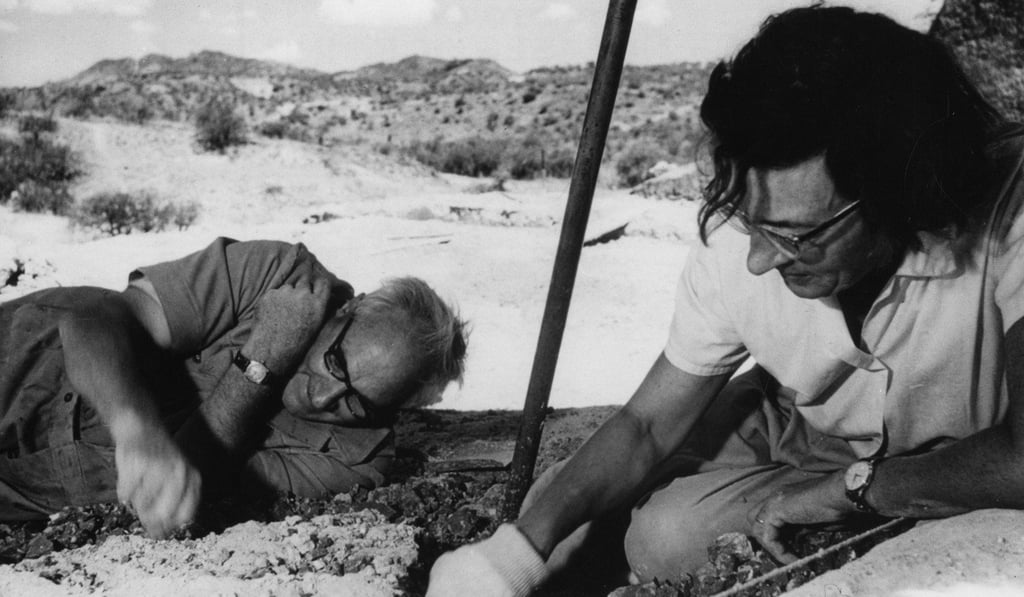 Palaeoanthropologist Louis and Mary Leakey digging in the Olduvai Gorge, where a 1.8-million-year-old species, Paranthropus boisei, was found in 1950s. Picture: Alamy