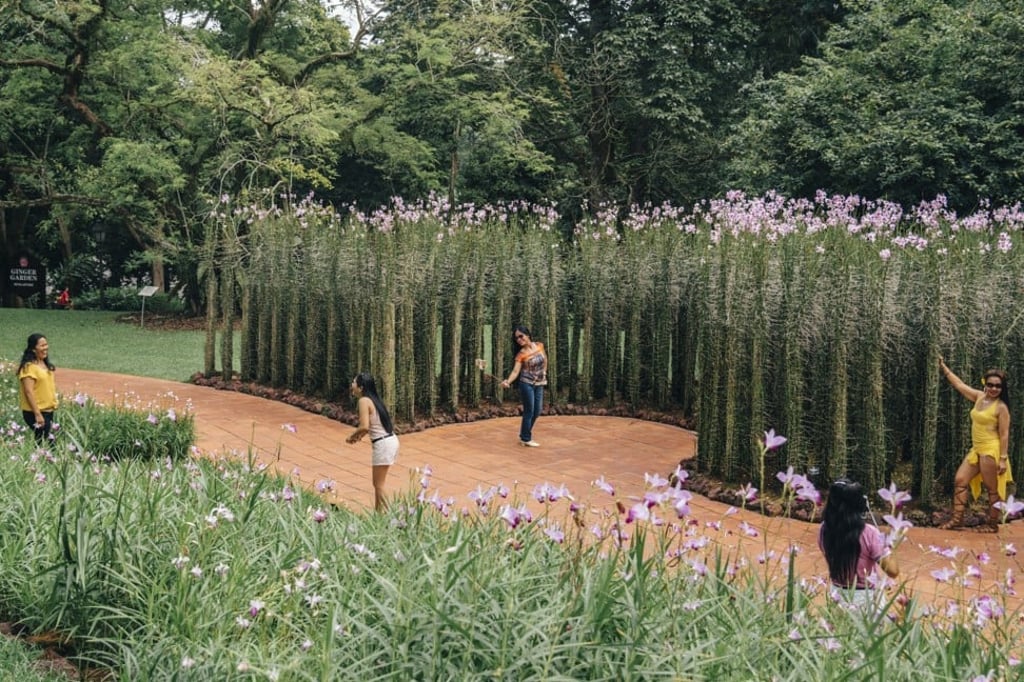 Time out for some selfies in Singapore’s Botanic Gardens. Photo: Arabelle Zhuang