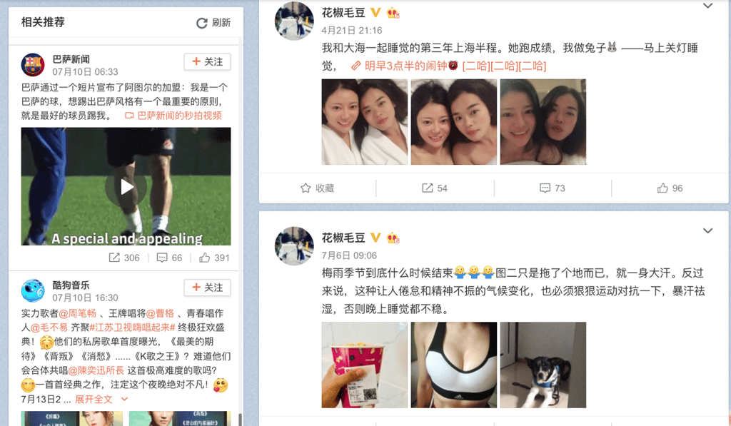 Mao Dou has almost 300,000 followers on Weibo and more than 20,000 on her WeChat account.
