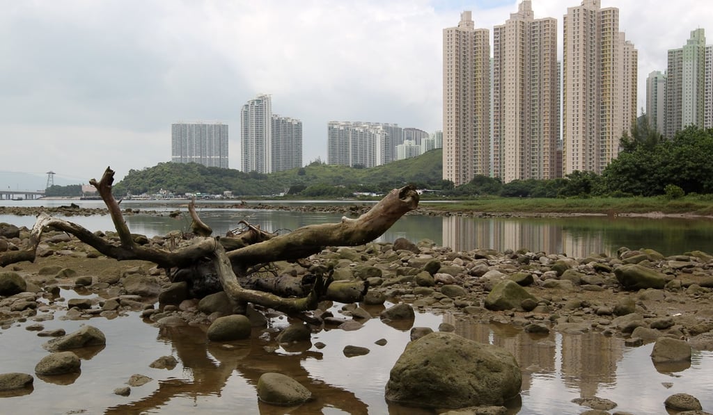 Tung Chung River holds the greatest level of biodiversity. Photo: Nora Tam
