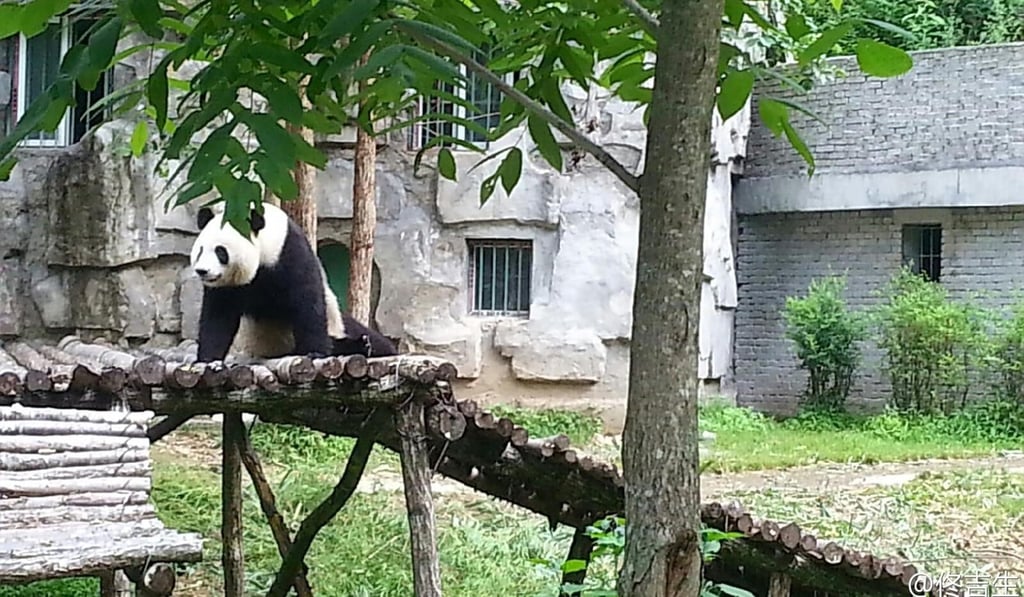 Staff at the nature reserve told the tourists involved in the incident to leave and they were later blacklisted. Photo: Handout