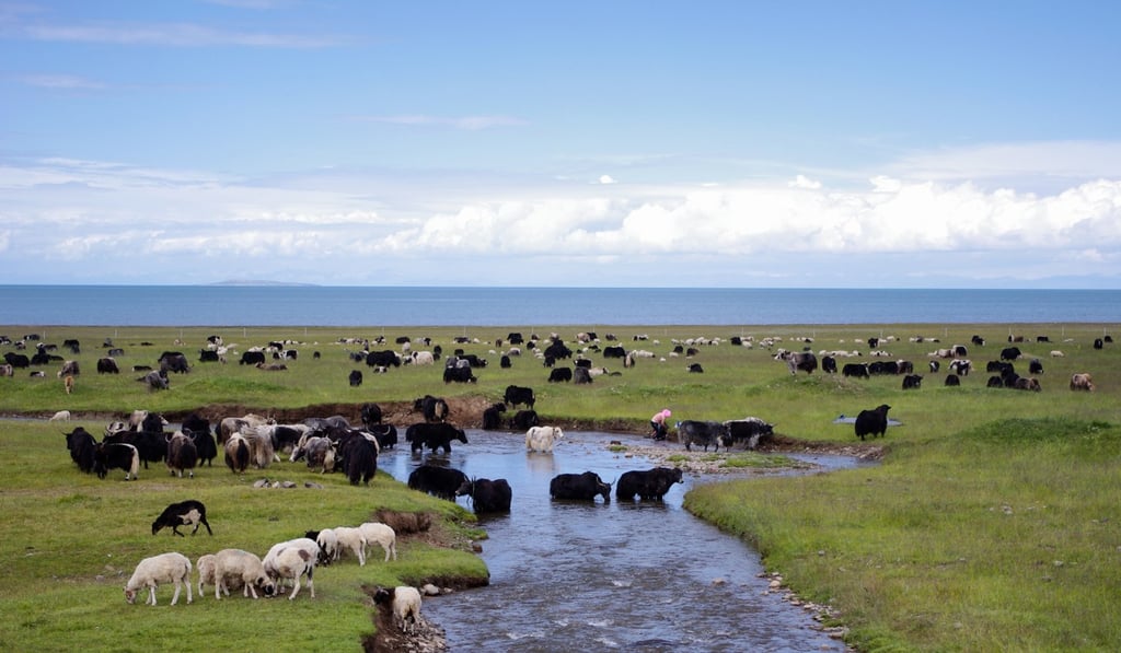 Qinghai