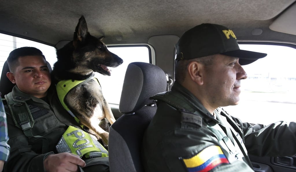 Drug dog Sombra rides with her handler, officer Jose Rojas. Photo: AP Drug dog Sombra rides with her handler, officer Jose Rojas. Photo: AP