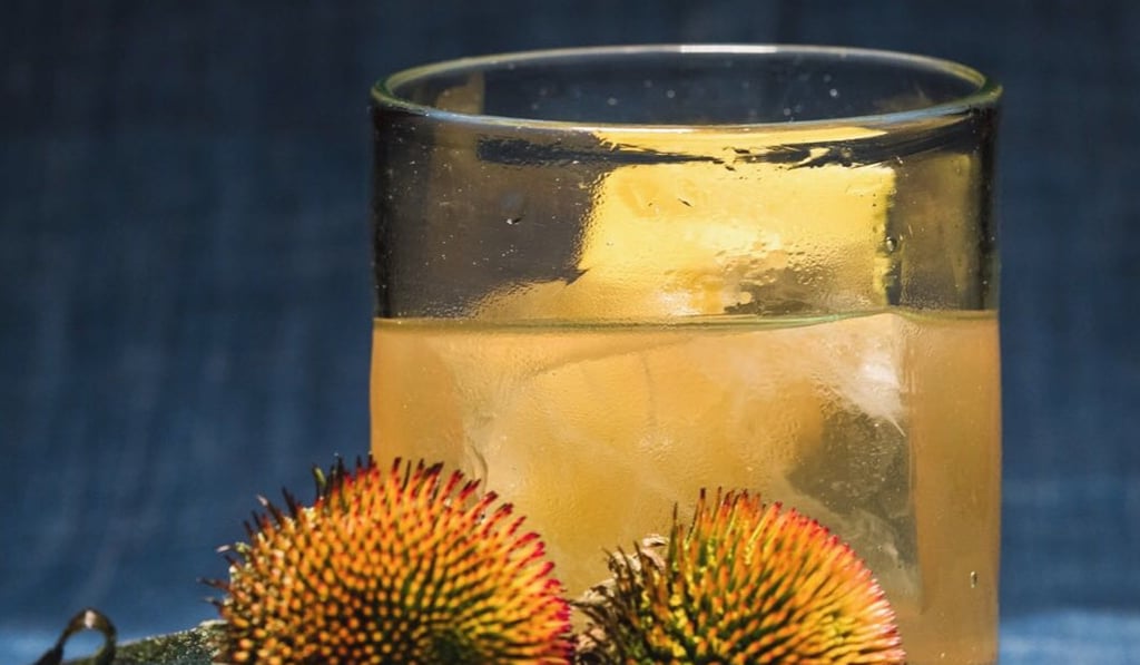 The Old Fashioned at Potato Head.