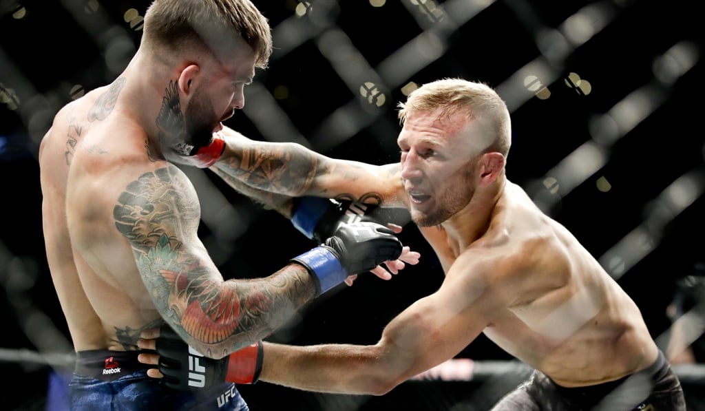 T.J. Dillashaw lands a shot on Cody Garbrandt during their UFC bantamweight title fight. Photo: AP