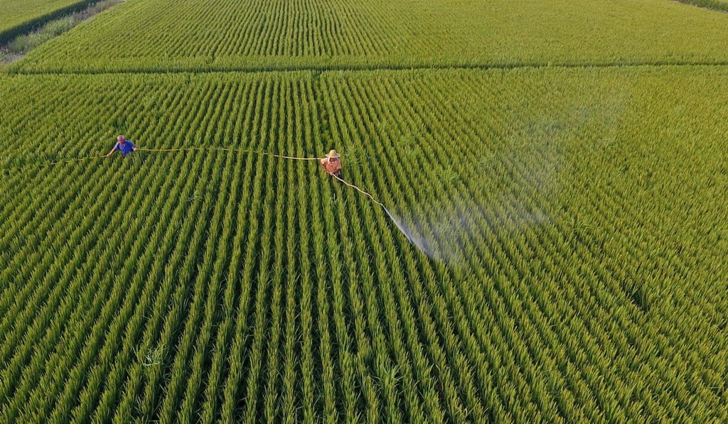 Villagers spray insecticide in a farm in Tangshan, Hebei province. Photo: Xinhua
