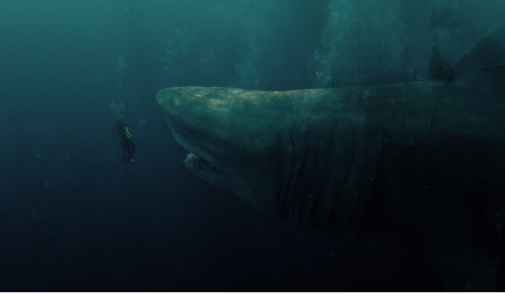 The Meg is 25 metres long.