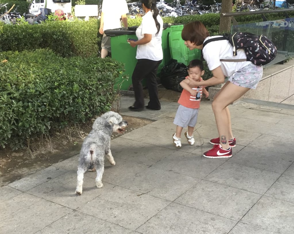 A mother is wary of an unleashed dog. Photo: Elaine Yau