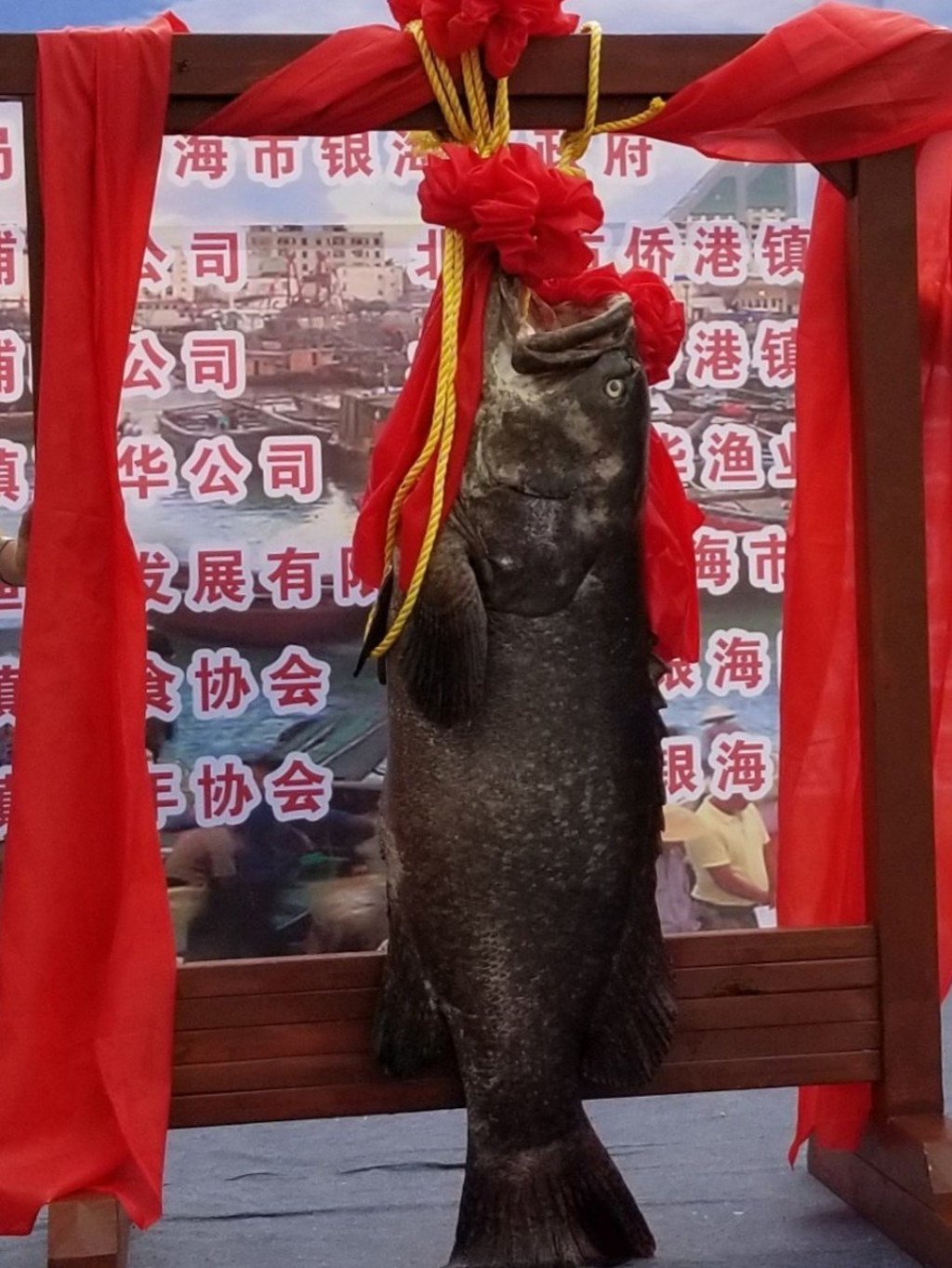 The winning bidder for the fish was a restaurant owner who plans to dish up the fish to customers. Photo: Handout