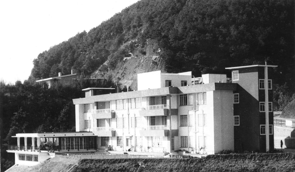 The Carlton Hotel on remote Tai Po Road had 37 air-conditioned rooms, a spacious lounge and dance floor and open-air restaurant. Photo: Golden Studio Photo