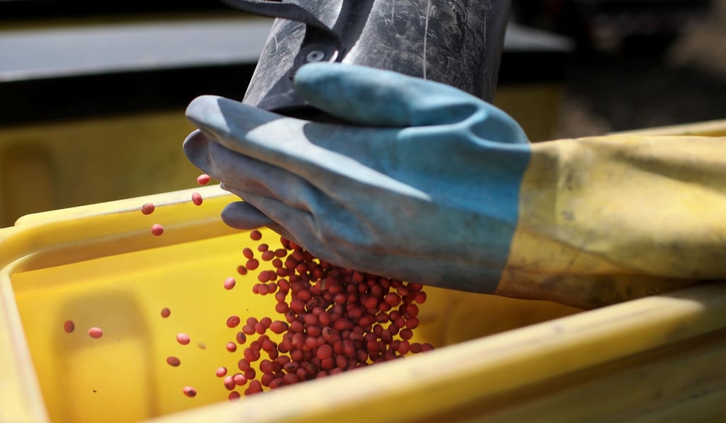 Crop farmer Bob Worth loads soybean seeds into his soybean planter on the family farm in Lake Benton, Minnesota in May. Photo: Minneapolis Star Tribune/TNS