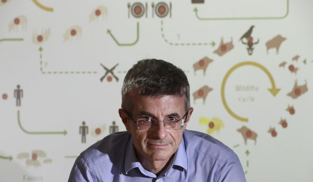 City University Professor Dirk Pfeiffer urges Hong Kong authorities to do their utmost to keep the deadly pig virus out of Hong Kong. Photo: Nora Tam