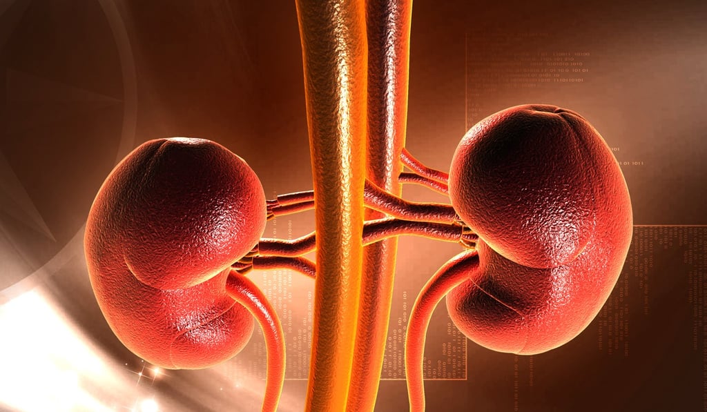 The scheme will start with kidney donations. Photo: Shutterstock