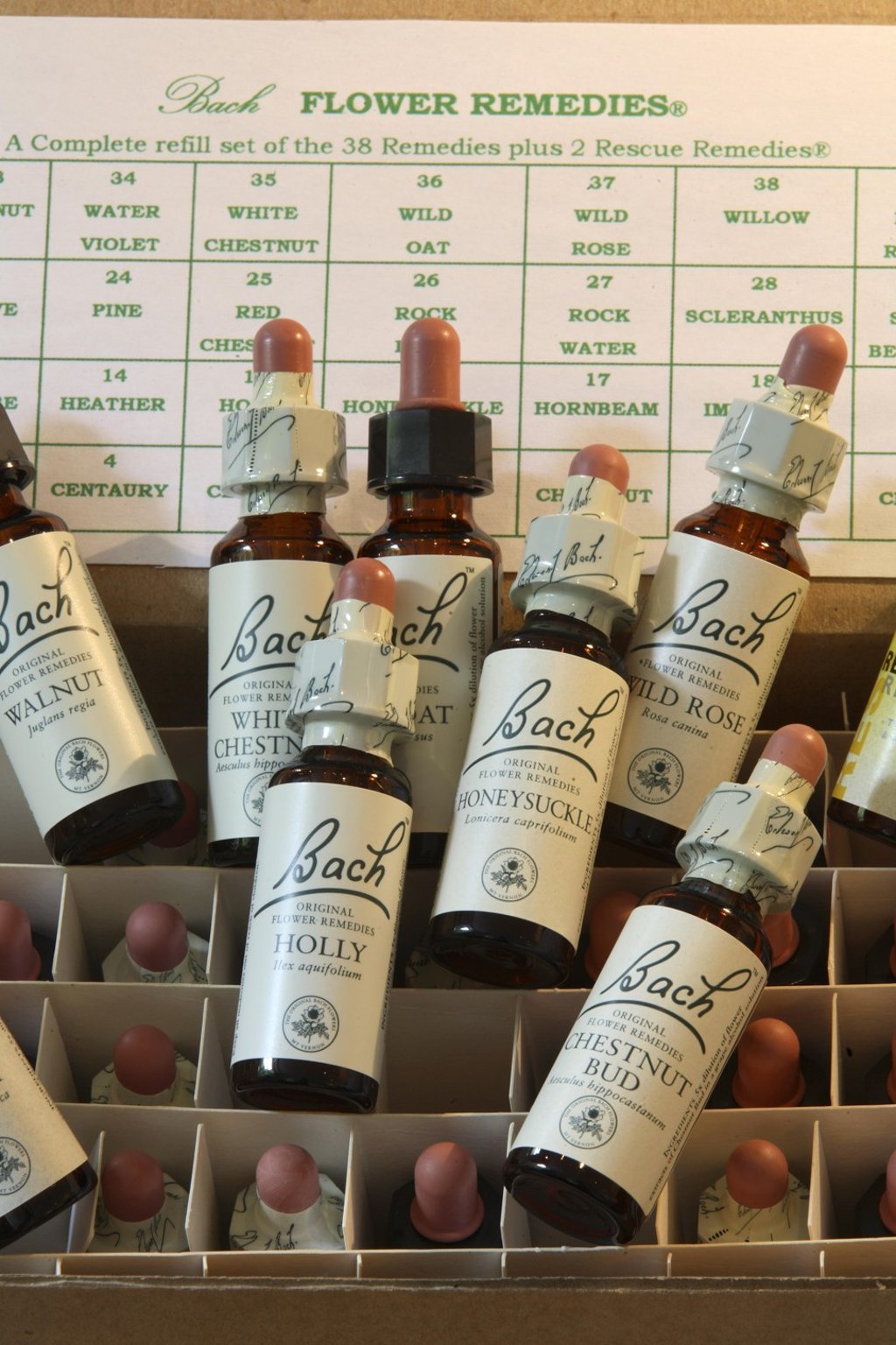Naturopaths prefer natural remedies to conventional medicine. Photo: Alamy