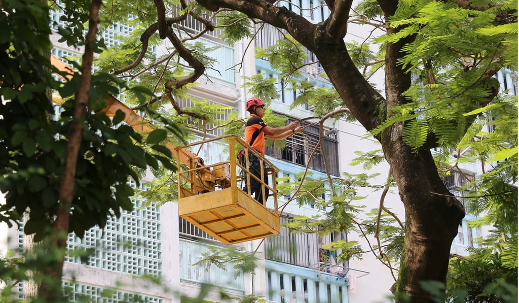 An arborist trims branches at Shun Lee Estate following the accident. Photo: Dickson Lee