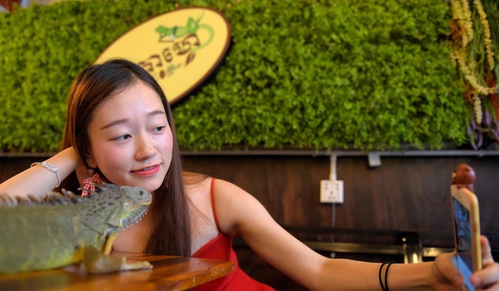 Time for a selfie with an iguana at Phnom Penh’s Reptile Cafe. Photo: AFP