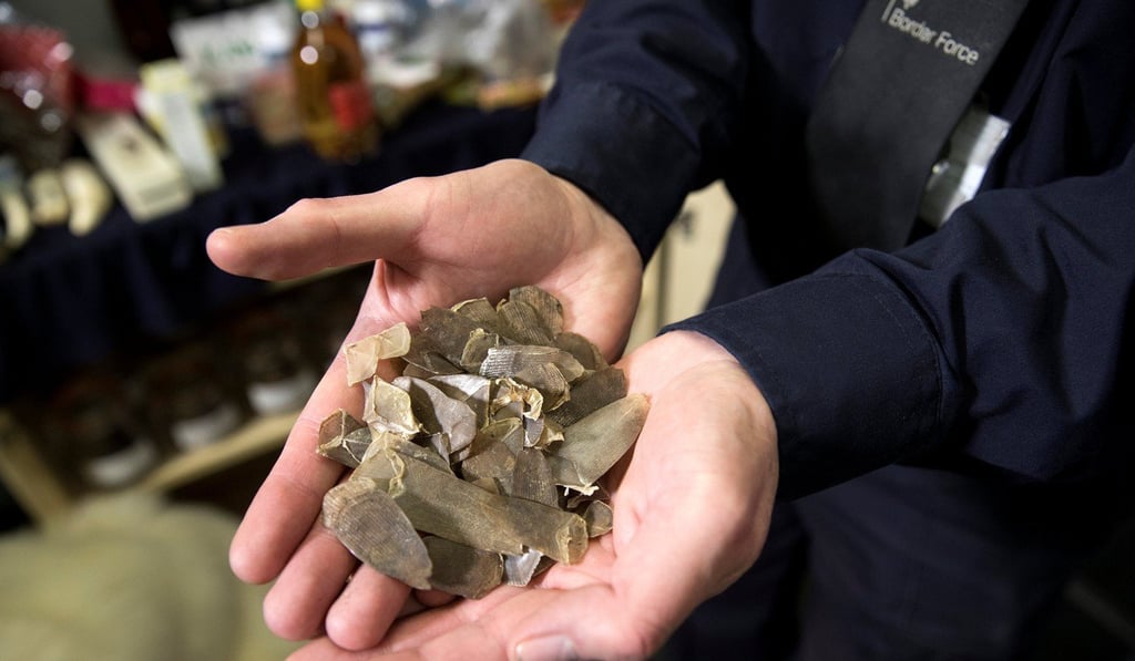 Pangolin scales are believed to have medicinal properties, such as reducing swelling and increasing lactation and blood circulation. Photo: Reuters