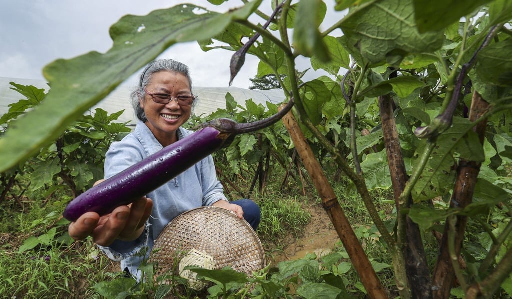 “It turned out we were all prophets”: Fung Yu-chuk. Photo: K.Y. Cheng