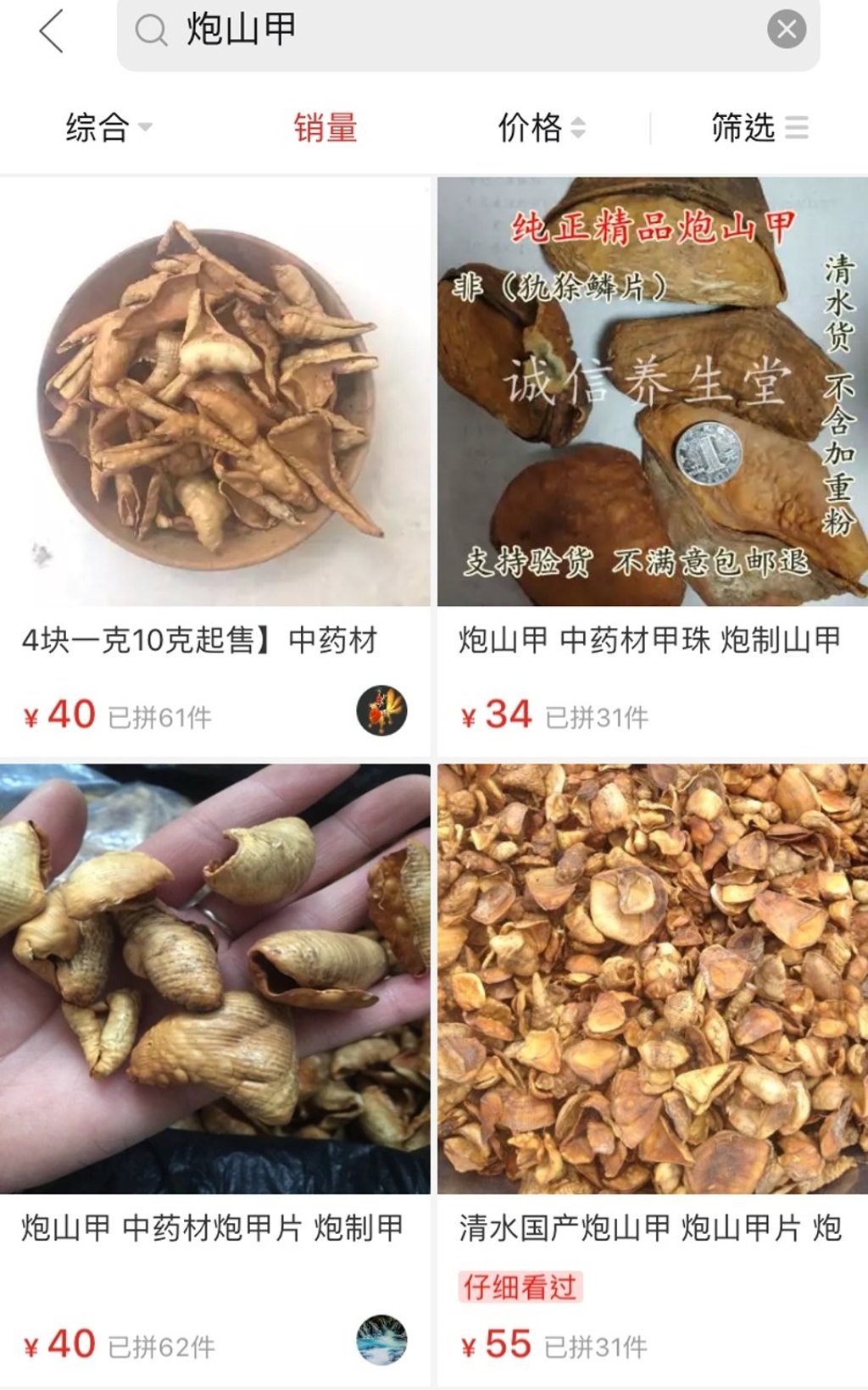 More than 200 pangolin scale sales by around a dozen shops have taken place this year on Pinduoduo. Photo: Handout