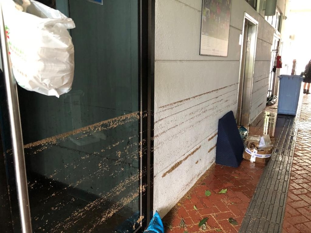The water mark for the flood waters at the HKJC Kitchee Training Centre in Shek Mun. Photo: Chan Kin-wa